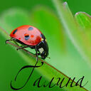 Саша Пивоварова