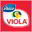 Viola