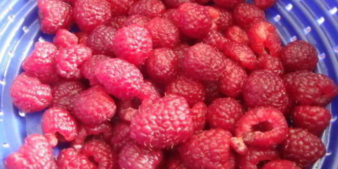 Рецепт торта-безе с творожно-малиновой начинкой