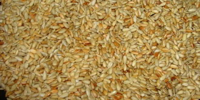 Рецепт халвы домашней