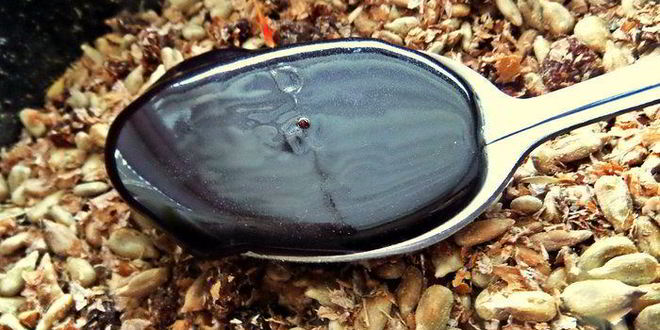 Рецепт халвы шоколадной с отрубями и семечками