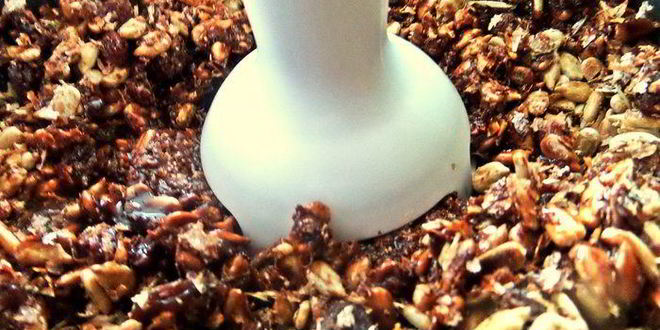 Рецепт халвы шоколадной с отрубями и семечками