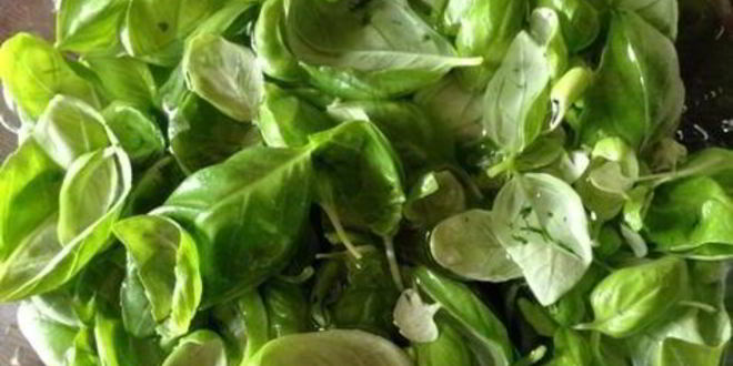 Рецепт базиликового курда