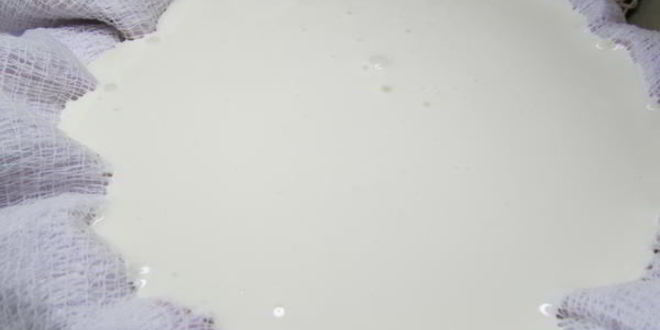 Рецепт домашнего крема-сыра