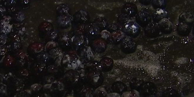 Рецепт мороженого из козьего йогурта с ягодным соусом