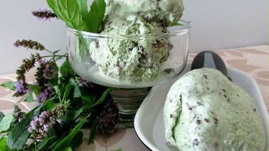 Рецепт мятного мороженого с кусочками шоколада