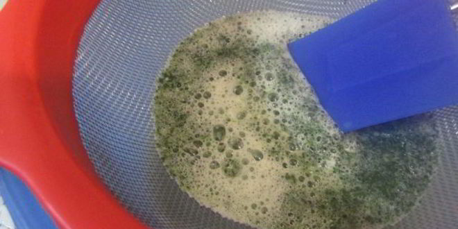 Рецепт мятного мороженого с кусочками шоколада