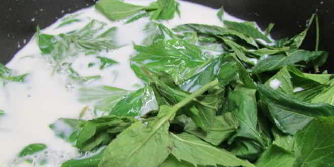 Рецепт мятного мороженого с кусочками шоколада