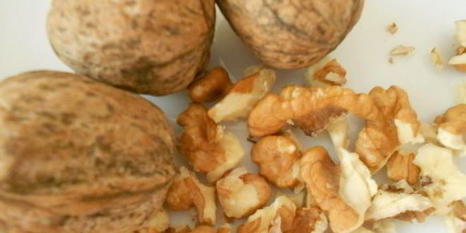 Рецепт ореховой пасты