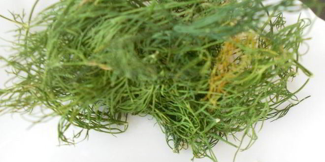 Рецепт ореховой пасты