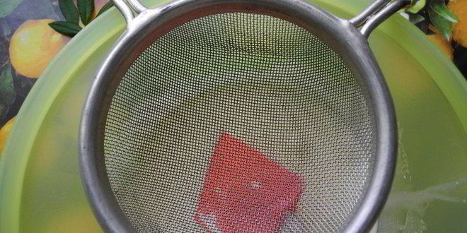 Рецепт панны котта на белках