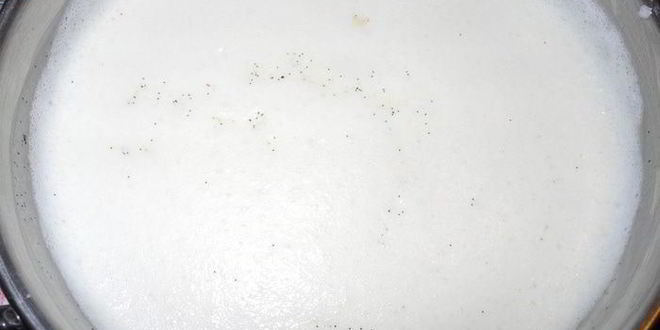 Рецепт панны котта на белках