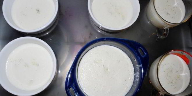 Рецепт панны котта на белках