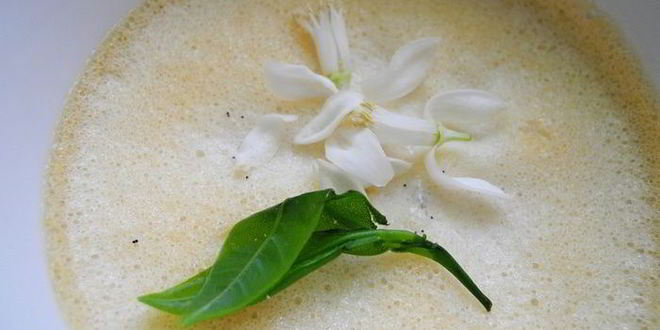 Рецепт панны котта на белках