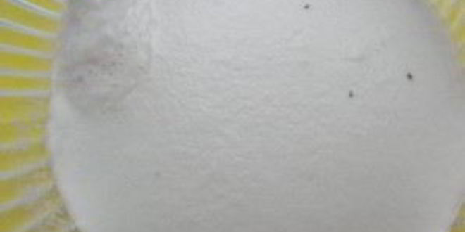 Рецепт кулича на желтках