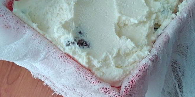 Рецепт творожной пасхи с цукатами без яиц