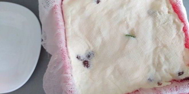 Рецепт творожной пасхи с цукатами без яиц