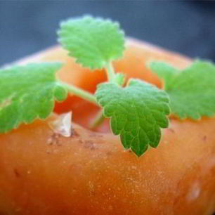 Рецепт Абрикосового щербета