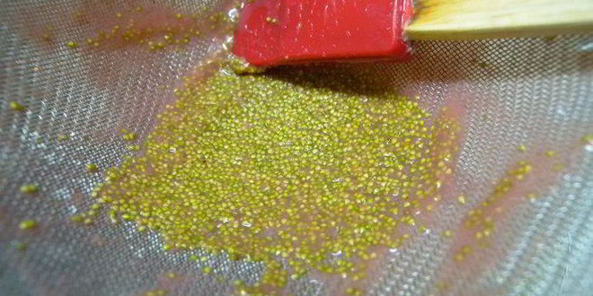 Рецепт творожного суфле с белым шоколадом и клубникой