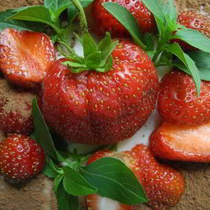 Рецепт Фантазий на тему Тирамису