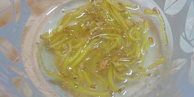 Рецепт тирамису пряная груша без яиц