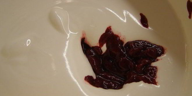 Рецепт брусничного зефира с малиновым соусом