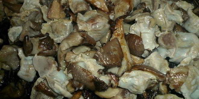 Рецепт азу из куриных желудков и вешенок
