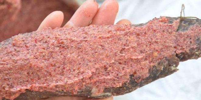 Рецепт домашней бастурмы