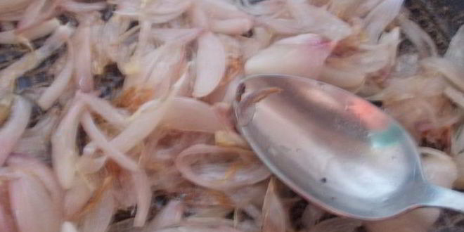 Рецепт курицы по мотивам чахохбили