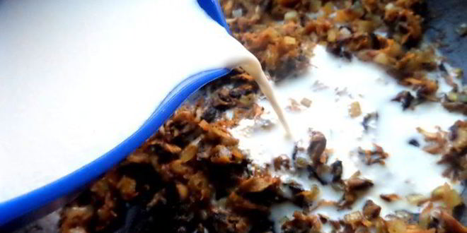 Рецепт драников с мясной начинкой