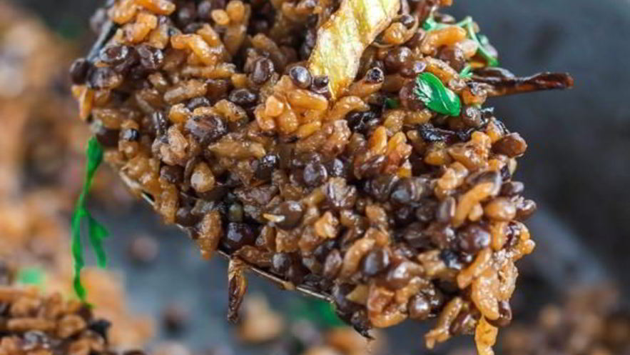 Рецепт чечевицы черной на сковороде