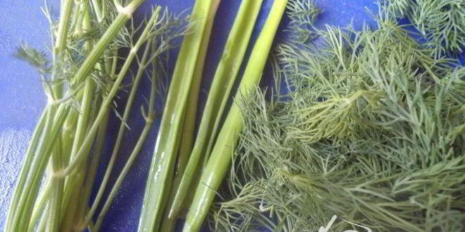 Рецепт картофеля отварного, сермяжного