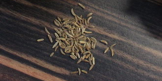 Рецепт коричневого риса с грибами и брокколи