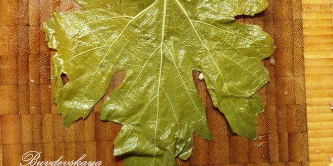 Рецепт ароматной долмы с мацони