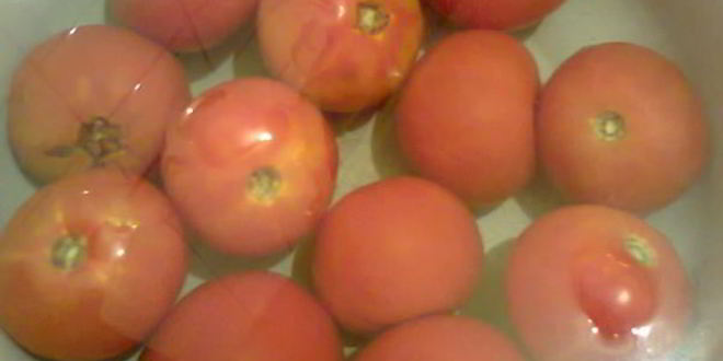 Рецепт долмы с баклажаном и болгарским перцем