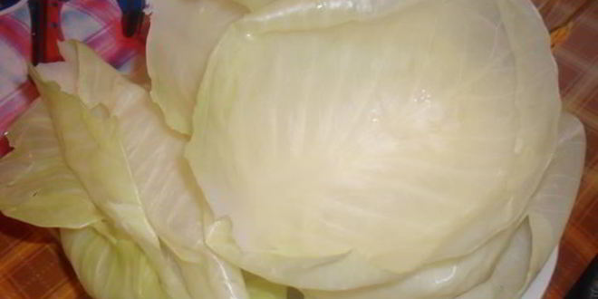 Рецепт голубцов по-домашнему