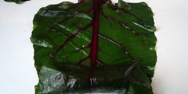 Рецепт голубцов свекольных