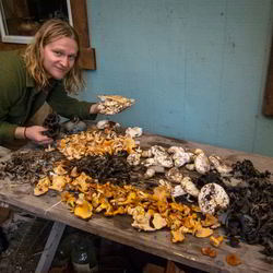 Рецепт Грибов песочники