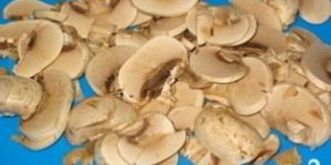 Рецепт шампиньонов в сливочном соусе