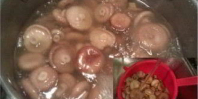 Рецепт волнушек, жареных в сметанном соусе