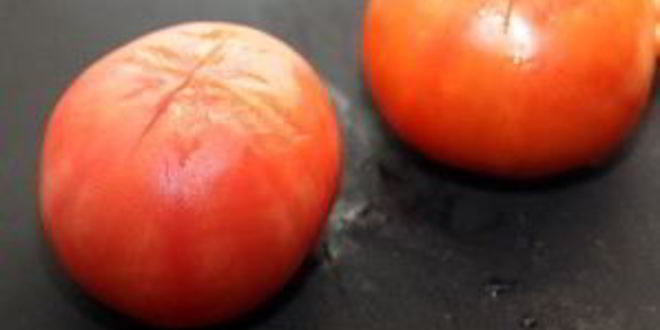 Рецепт гуляша из свинины с помидорами