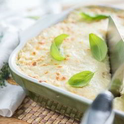 Рецепт Лазаний из кабачков с курицей