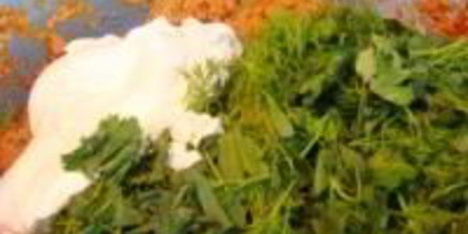 Рецепт лазаний из лаваша в мультиварке