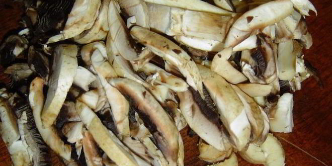 Рецепт лазаний с баклажаном