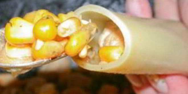 Рецепт каннеллонь, фаршированных курицей и грибами