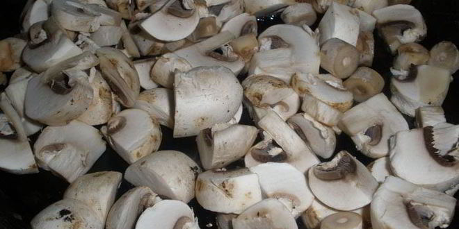 Рецепт бризолек с курицей и грибами