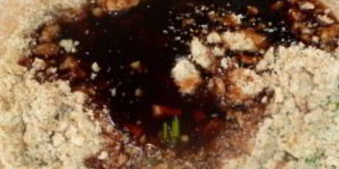 Рецепт курицы в соусе наршараб