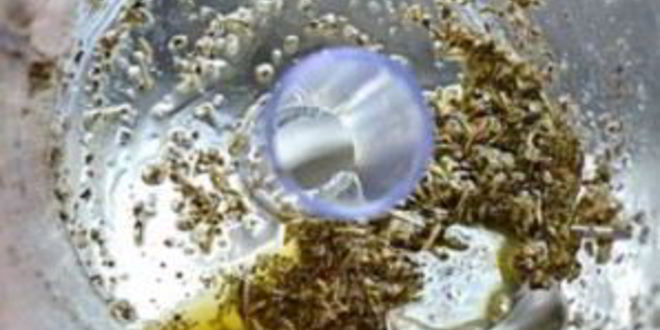 Рецепт мяса в фольге в мультиварке