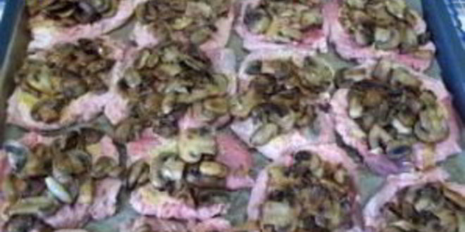 Рецепт отбивных из телятины в духовке