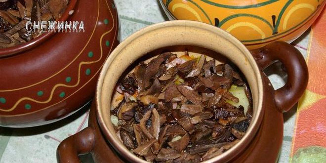 Рецепт пражаниной — мяса с овощами, черносливом и грибами в горшочках